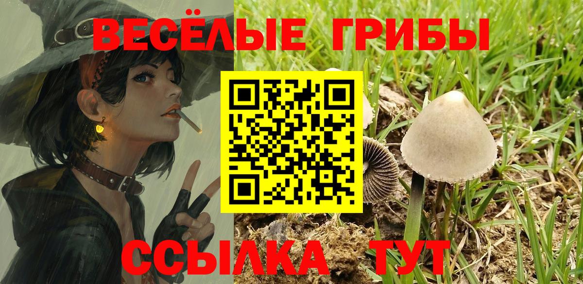 Галлюциногенные грибы Psilocybe  Псилоцибиновые грибы ЛСД  Старая Купавна  Вход с VPN 