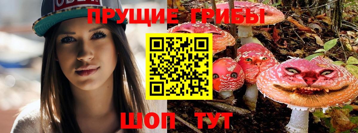 Галлюциногенные грибы прущие грибы Старая Купавна